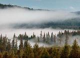 Magpie River Valley Fog_03209-10